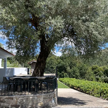 Quinta Da Vinha Velha Villa