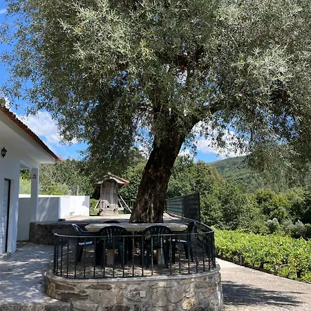 Quinta Da Vinha Velha Βίλα