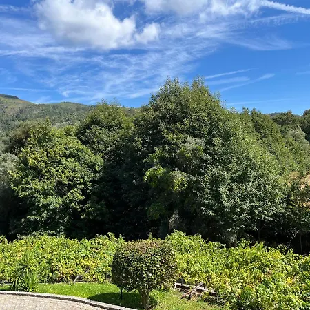 Quinta Da Vinha Velha * Labrujo