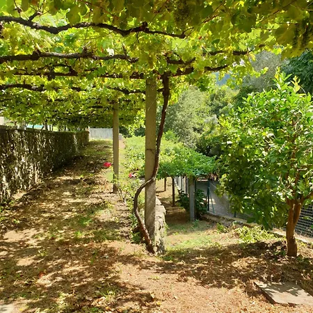 Quinta Da Vinha Velha *