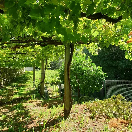 Quinta Da Vinha Velha * Labrujo