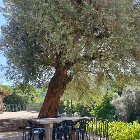 Quinta Da Vinha Velha * Labrujo