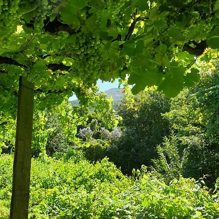 Βίλα Quinta Da Vinha Velha *