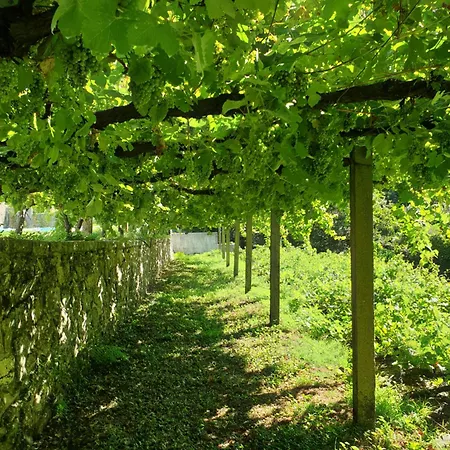 Quinta Da Vinha Velha Βίλα *