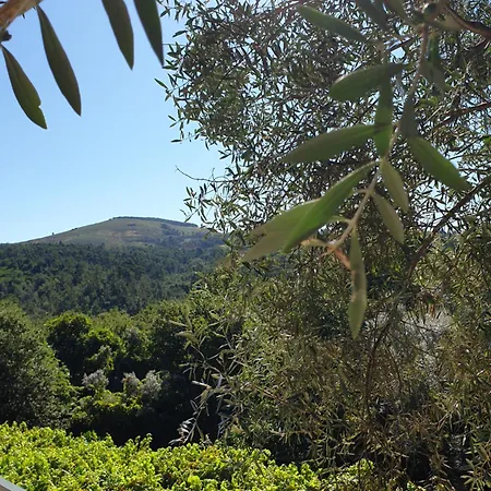 Quinta Da Vinha Velha Villa Labrujo
