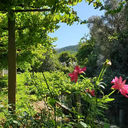 Βίλα Quinta Da Vinha Velha *