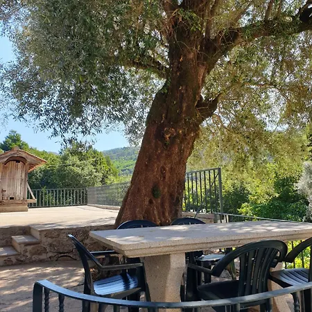 Villa Quinta Da Vinha Velha *