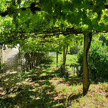 Quinta Da Vinha Velha