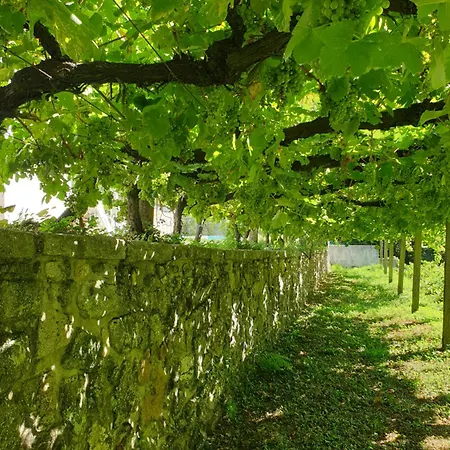 Quinta Da Vinha Velha Βίλα