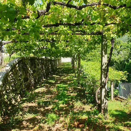 Quinta Da Vinha Velha Labrujo