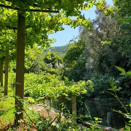 Quinta Da Vinha Velha Βίλα Labrujo