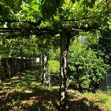 Quinta Da Vinha Velha * Labrujo