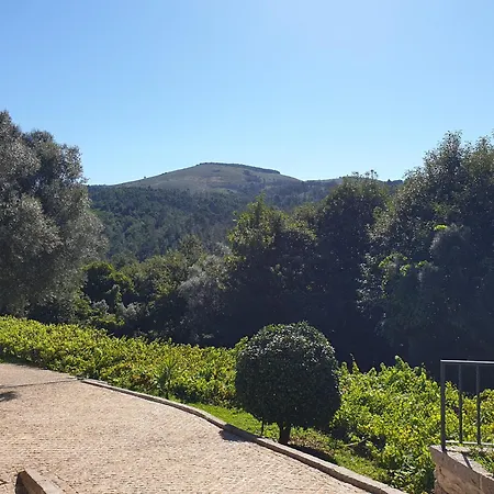 Βίλα Quinta Da Vinha Velha Labrujo