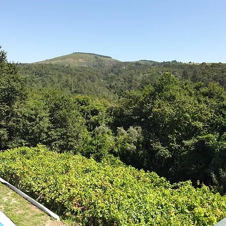 Quinta Da Vinha Velha *