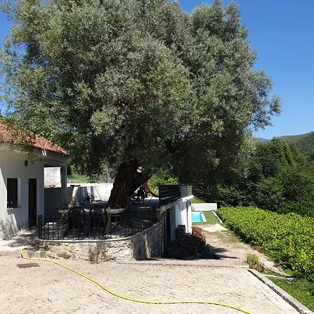 Quinta Da Vinha Velha *