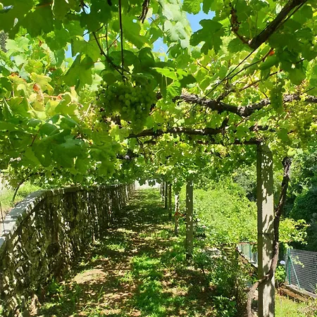 Βίλα Quinta Da Vinha Velha *