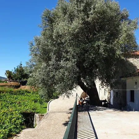 Quinta Da Vinha Velha Βίλα *