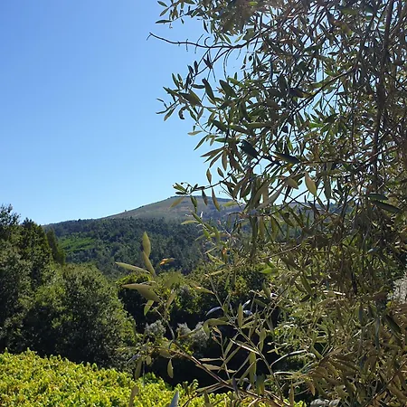 Quinta Da Vinha Velha Labrujo