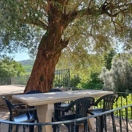 Quinta Da Vinha Velha Βίλα Labrujo