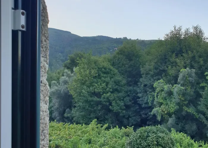 Quinta Da Vinha Velha Villa