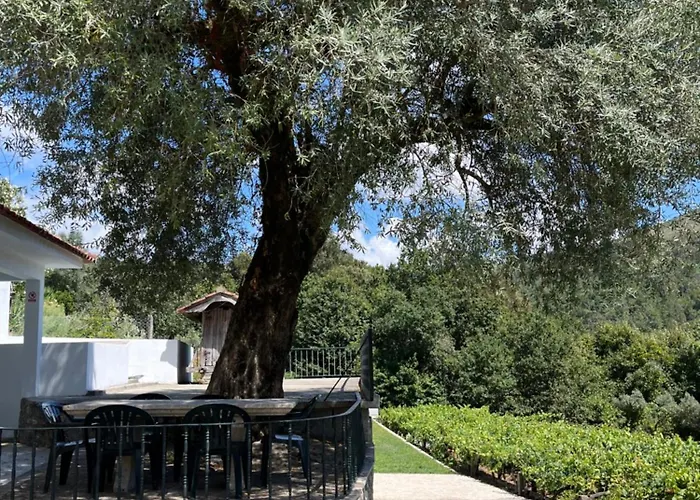 Quinta Da Vinha Velha Villa