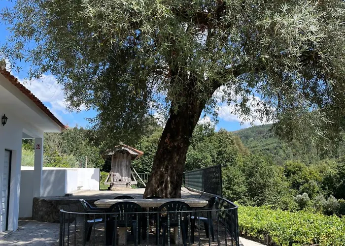 Quinta Da Vinha Velha Villa