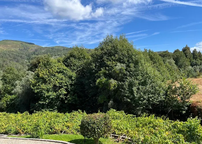 Quinta Da Vinha Velha * Labrujo