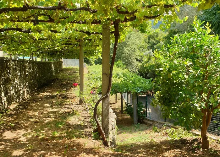 Quinta Da Vinha Velha *