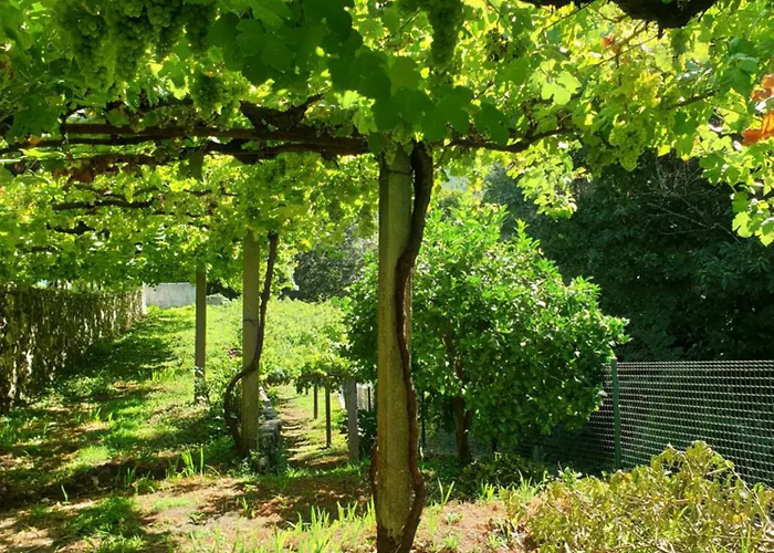 Quinta Da Vinha Velha * Labrujo