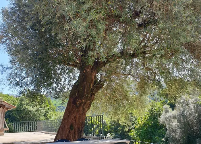 Quinta Da Vinha Velha * Labrujo