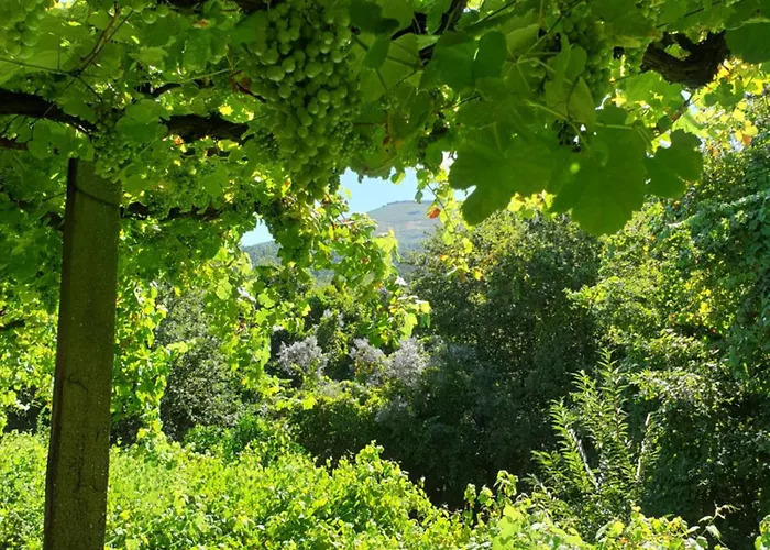 Villa Quinta Da Vinha Velha *