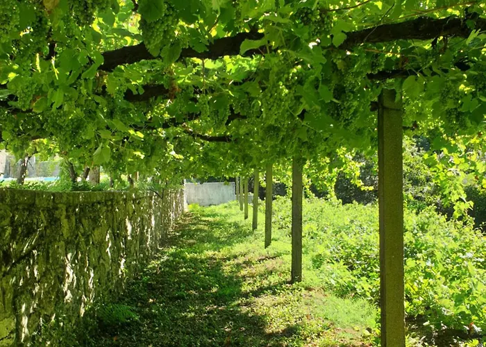 Quinta Da Vinha Velha Villa *