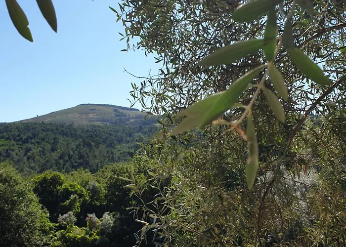 Quinta Da Vinha Velha Villa Labrujo