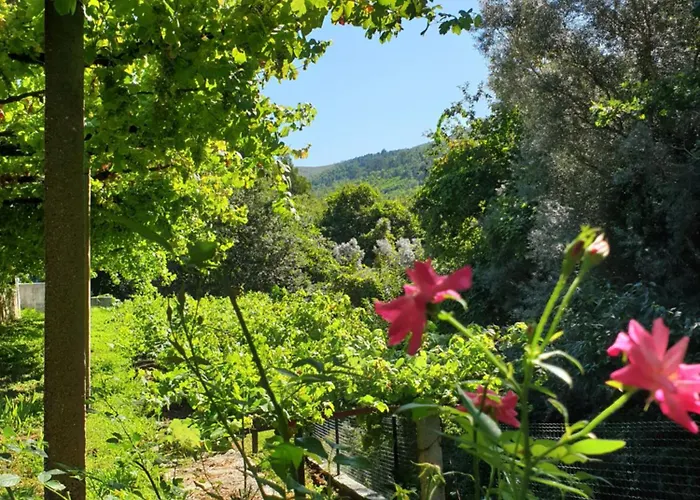 Villa Quinta Da Vinha Velha *