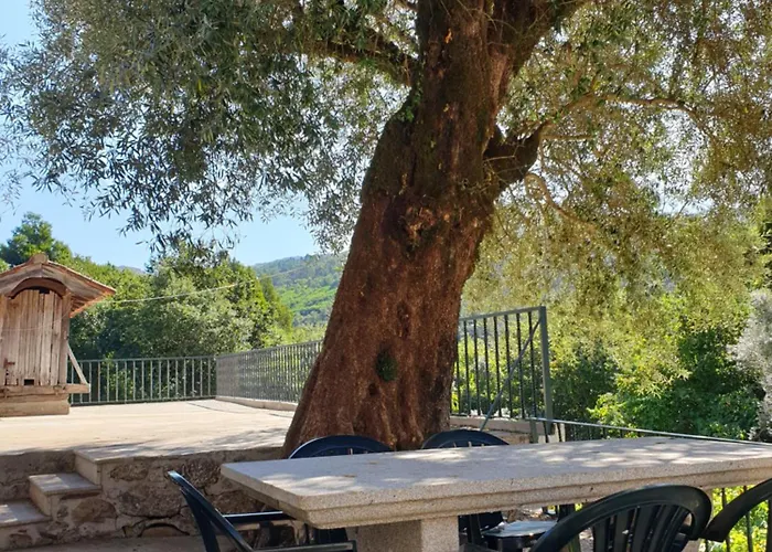 Villa Quinta Da Vinha Velha *