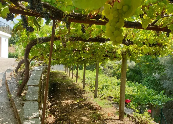 Quinta Da Vinha Velha Villa *