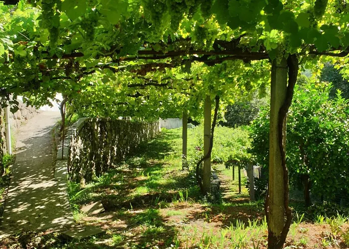 Quinta Da Vinha Velha