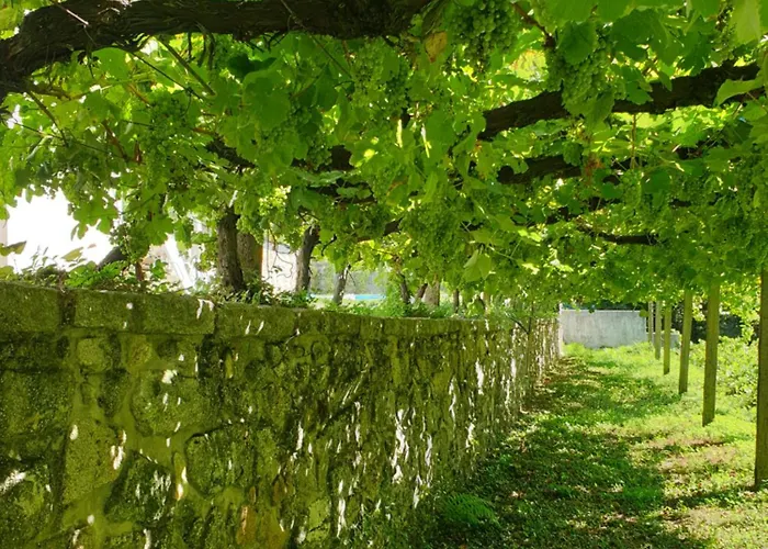 Quinta Da Vinha Velha Villa