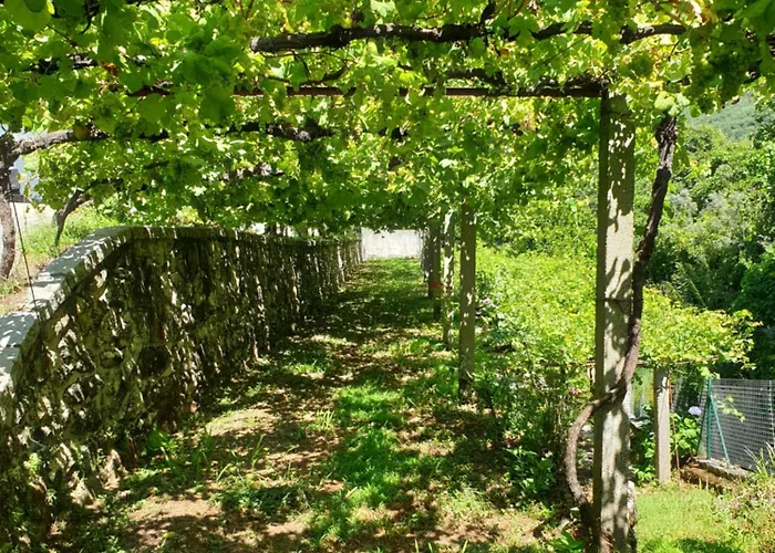 Quinta Da Vinha Velha Labrujo