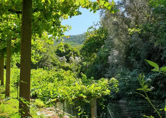 Quinta Da Vinha Velha Villa Labrujo