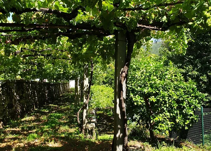 Quinta Da Vinha Velha * Labrujo