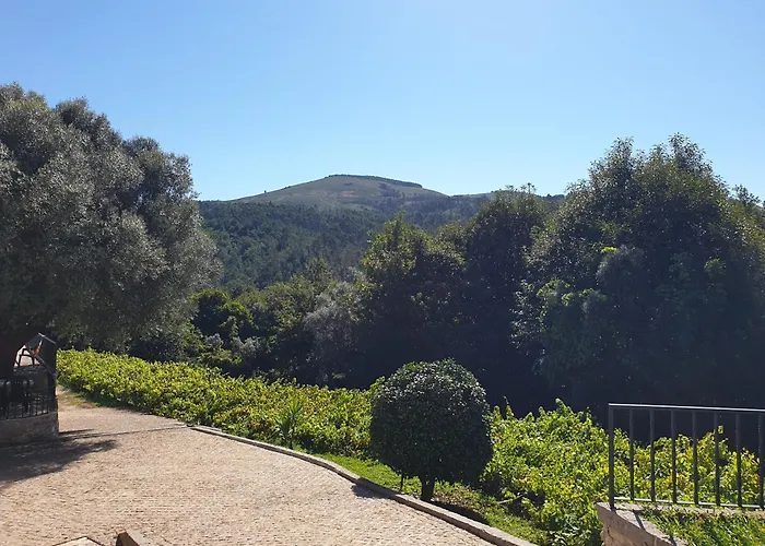 Villa Quinta Da Vinha Velha Labrujo