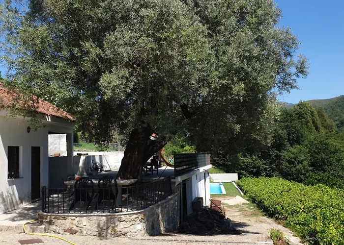 Quinta Da Vinha Velha *