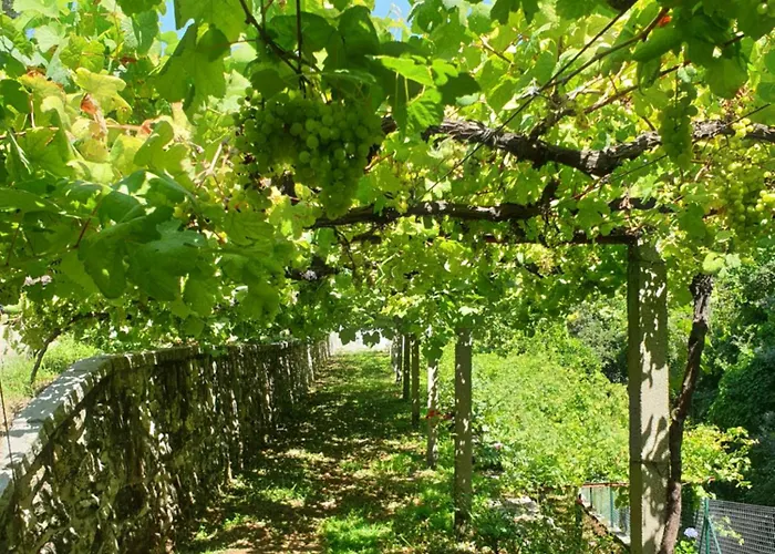 Villa Quinta Da Vinha Velha *