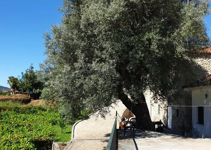 Quinta Da Vinha Velha Villa *