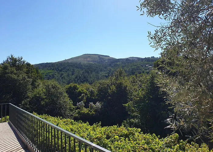 Villa Quinta Da Vinha Velha Labrujo