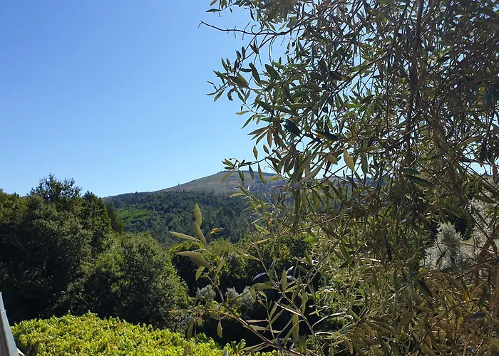 Quinta Da Vinha Velha Labrujo