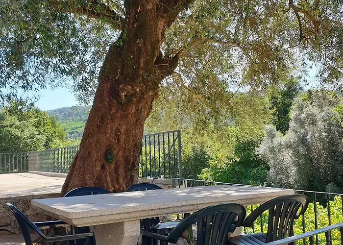 Quinta Da Vinha Velha Villa Labrujo