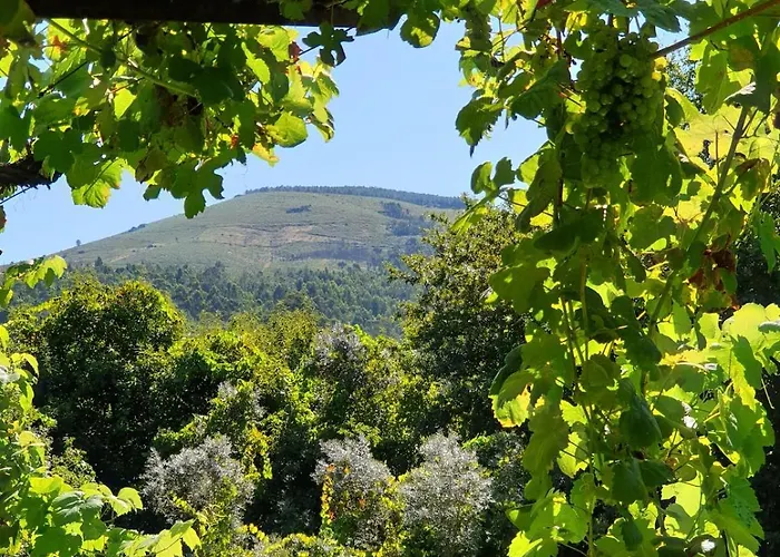 Villa Quinta Da Vinha Velha Labrujo